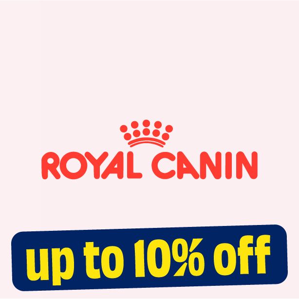 Strapi Image