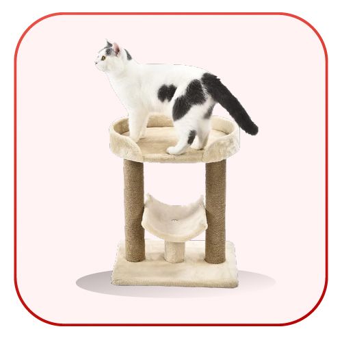 Cat Trees & Scratchers