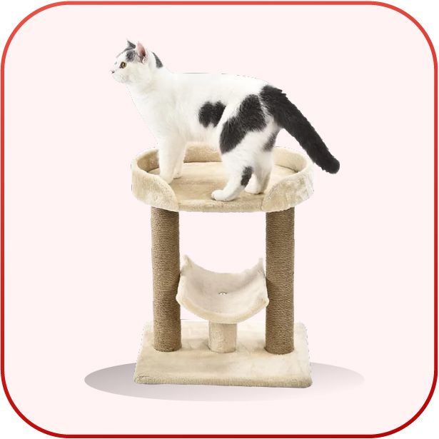 Cat Trees & Scratchers