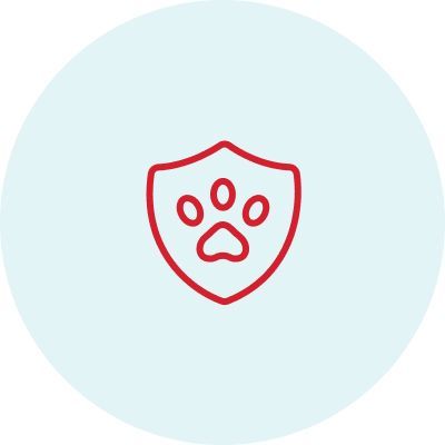 Pet Insurance