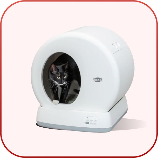 Cat Litter Boxes