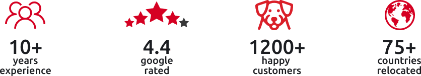 Strapi Image