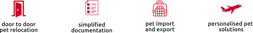 Strapi Image