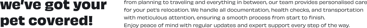 Strapi Image